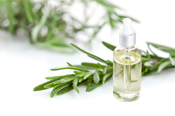 Rosemary Oil